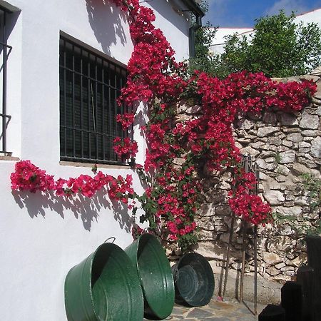 Alanís Casa Rural Y Restaurante Casa Adrianoゲストハウス エクステリア 写真
